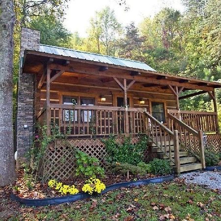 Peaceful Tellico View Home With Private Hot Tub Tellico Plains Extérieur photo